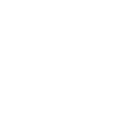 ponctuel